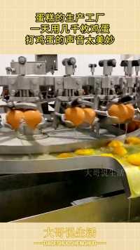 蛋糕的生产工厂，一天用几千枚鸡蛋，打鸡蛋的声音太美妙！