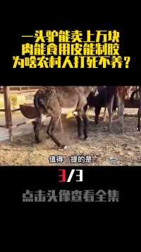 一头驴能卖上万块，肉能食用皮能制胶，为啥农村人打死不养？驴阿胶驴肉科普 (3)
