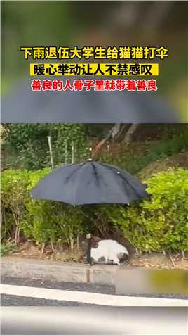 下雨退伍大学生给猫猫打伞的暖心举动让人不禁感叹人间温暖，不枉此行网友：善良的人骨子里就带着善良