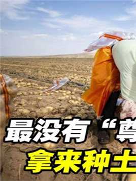 史上最没“尊严”的沙漠：被中国人用来种土豆，还种出1万多斤？ #科普一下 #毛乌素沙漠 #种土豆