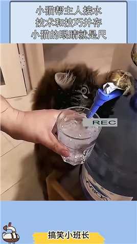 小猫帮主人接水，技术和技巧并存，小猫的眼睛就是尺！