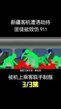 客机遭遇劫持，匪徒试图效仿911，却被机上乘客联手制服！ (3)