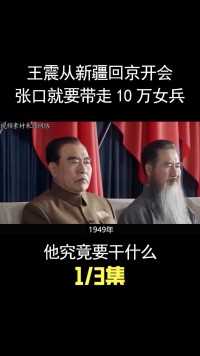 1950年，王震将军赴京开会，开口就要10万女兵，他究竟要干什么？ (1)