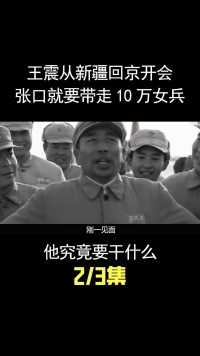 1950年，王震将军赴京开会，开口就要10万女兵，他究竟要干什么？ (2)