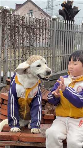 #孩子和狗的快乐时光 #拉布拉多#江南烟雨色