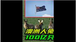 100亿只野兔占领澳洲，持续100多年的人兔大战，如何解决