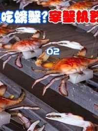 德国人怎么吃螃蟹？全自动宰蟹机器，一天能剥几万只！#知识分享#螃蟹#知识#科普