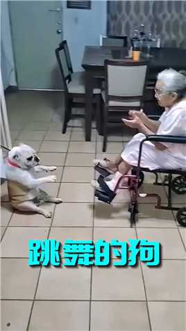 这只狗狗真有意思，它跟着老奶奶的歌声和节拍，扭动着身子