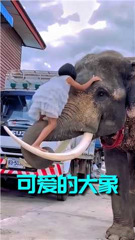 这头大象太懂事了，任凭小女孩爬到了它的身上