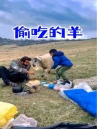 这只羊太淘气了，居然趁父子俩不备时，偷吃他们的食物 #动物 #羊