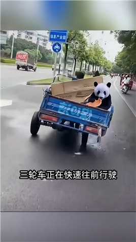 三轮车上坐着一只熊猫