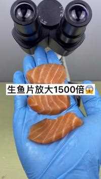 生鱼片放大1500倍，你应该不敢再生吃了吧！