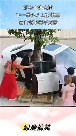婚车卡进大树，下一秒众人上前抬车，这门婚事树不同意！