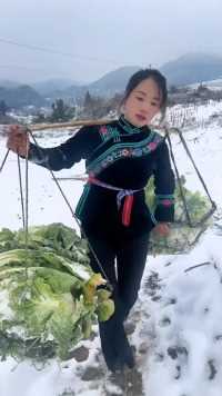 这样朴实又勤劳的贵州苗家姑娘下着雪还做农活你们喜欢嘛！ 