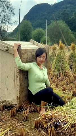 收获的季节，忙碌的田间，勤劳不怕辛苦的农村姑娘！