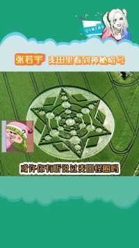 麦田怪圈竟然出现在了张若宇家里是怎么回事#航海王神秘暗号 #张若宇麦田里看到神秘暗号 