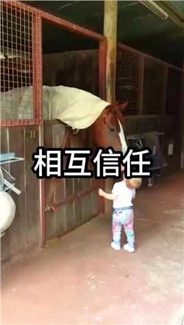 小男孩闯进马舍，马儿们都热情的欢迎他 #万物皆有灵性 #动物的迷惑行为 #动物成精了