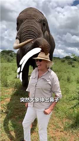 大象挑逗戴帽子女人野生动物零距离搞笑视频
