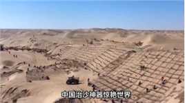 中国治沙神器惊艳世界，一天绿化48亩沙漠，全球瞩目！03#沙漠