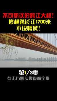 不可思议的跨江大桥！横跨长江1700米不设桥墩！这是如何做到的？ (1)