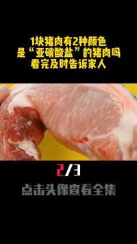 1块猪肉有2种颜色，是含“亚硝酸盐”的猪肉吗？看完恍然大悟科普长知识猪肉 (2)