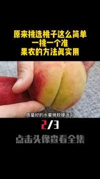 今天才知道，原来挑选桃子这么简单，一挑一个准，果农的方法实用桃子长知识科普 (2)