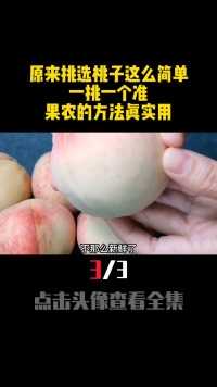 今天才知道，原来挑选桃子这么简单，一挑一个准，果农的方法实用桃子长知识科普 (3)