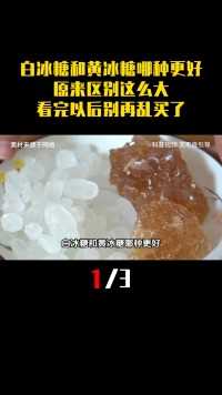 白冰糖和黄冰糖哪种更好？原来区别这么大，看完以后别再乱买了#科普#涨知识#冰糖#揭秘 (1)