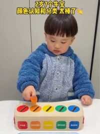 一岁半后宝宝的颜色认知需要系统训练，多带宝宝一起玩蒙氏早教颜色盒子，认知颜色形状，提升专注力手眼脑协调思维能力#颜色启蒙认知