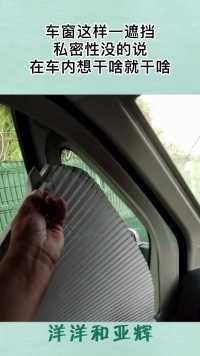 车窗这样一遮挡，私密性没的说，在车内想干啥就干啥！