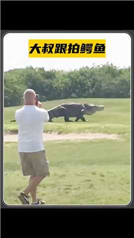 -鳄鱼穿越高尔夫球场，好奇大叔拿手机跟拍 