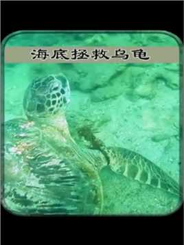 海底拯救乌龟
