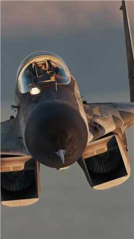米格29战斗机，“战损幽灵”涂装，折翼的银燕