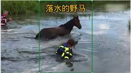 不慎掉入小河沟，救援人员暖心救援