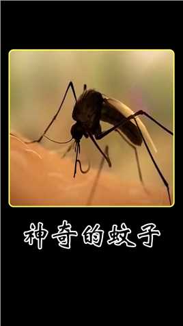 蚊子只要咬一口，就能复制另一个你