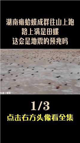 湖南癞蛤蟆成群往山上跑，路上满是田螺，这会是地震的预兆吗 (1)
