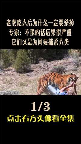 老虎吃人后为什么一定要杀掉，专家：不杀的话后果很严重！ (1)