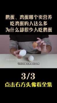 鹅蛋、鸡蛋哪个更营养？吃鸡蛋的人这么多，为什么却很少人吃鹅蛋 (3)
