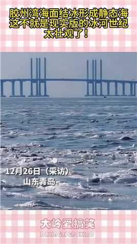 胶州湾海面结冰形成静态海，现实版的冰河世纪，太壮观了！#生活幽默#搞笑