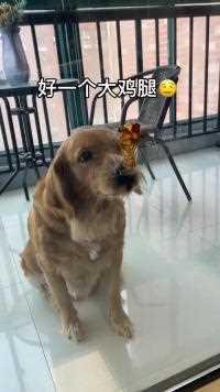 近在眼前的奢望