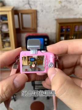最小粉色相机