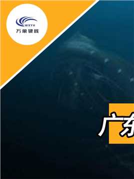 广东5米“水怪”，多名潜水员目击追寻，村民：渡劫失败的鲤鱼？