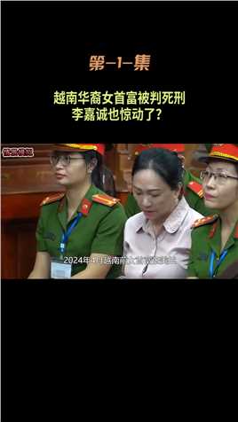 越南华裔女首富被判死刑，李嘉诚的合作伙伴，张美兰犯了何罪？#张美兰#越南女首富 (1)