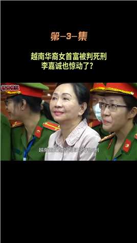 越南华裔女首富被判死刑，李嘉诚的合作伙伴，张美兰犯了何罪？#张美兰#越南女首富 (3)