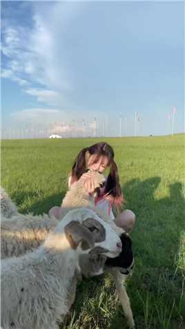 如果要去草原放羊，你会艾特你哪个朋友一起呢#快乐的小羊羔#小城夏天有稻香