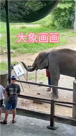 万万不敢想,大象还会画画.