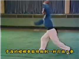 1976年于海打螳螂拳，招招都是必杀技，不愧为一代螳螂拳大师传统武术于海武功螳螂拳