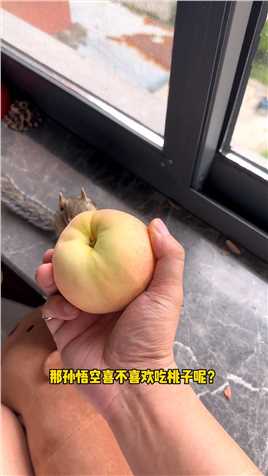 松悟空吃桃子！
