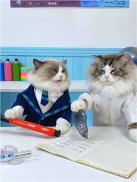 知识还远远不够！！！#喵大厨puff #萌宠出道计划 #萌宠 #被迫营业的猫猫