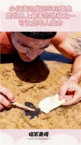 小伙海边发现罕见章鱼，是世界上最毒的物种之一，可让成年人致命